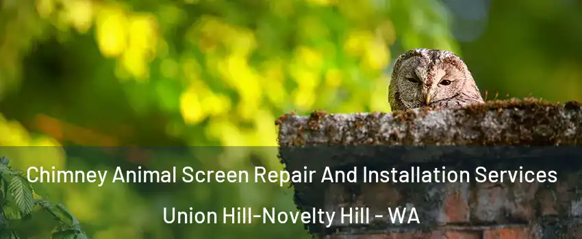  Chimney Animal Screen Repair And Installation Services Union Hill-Novelty Hill - WA