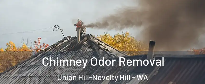  Chimney Odor Removal Union Hill-Novelty Hill - WA