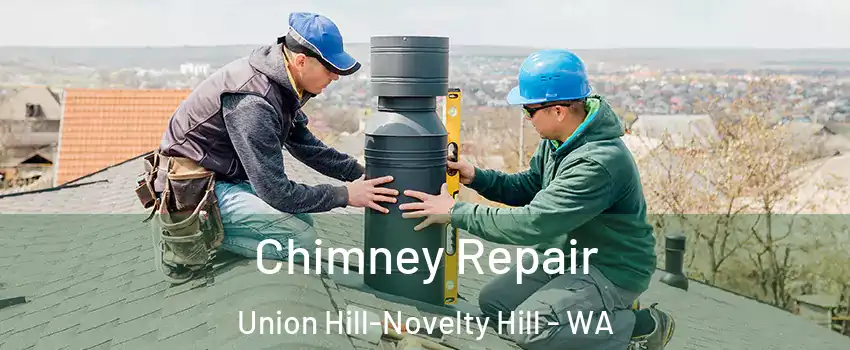  Chimney Repair Union Hill-Novelty Hill - WA