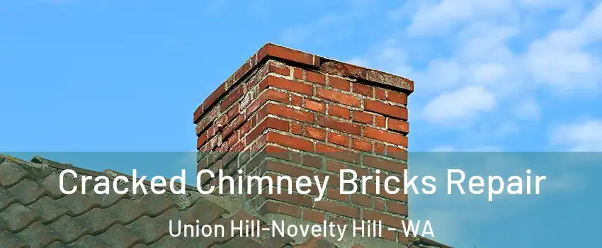  Cracked Chimney Bricks Repair Union Hill-Novelty Hill - WA