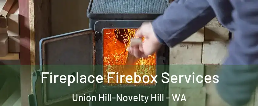  Fireplace Firebox Services Union Hill-Novelty Hill - WA