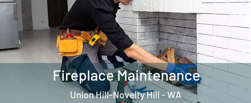  Fireplace Maintenance Union Hill-Novelty Hill - WA