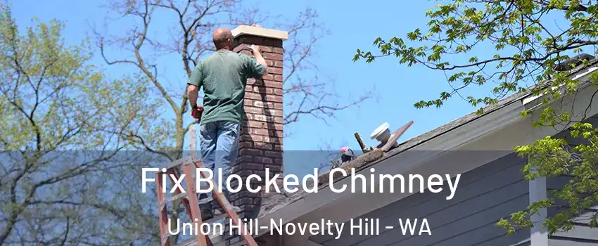  Fix Blocked Chimney Union Hill-Novelty Hill - WA