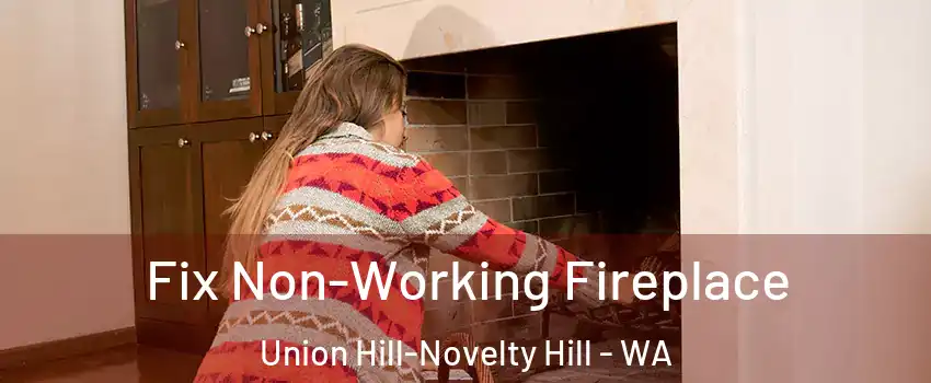  Fix Non-Working Fireplace Union Hill-Novelty Hill - WA