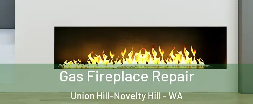  Gas Fireplace Repair Union Hill-Novelty Hill - WA