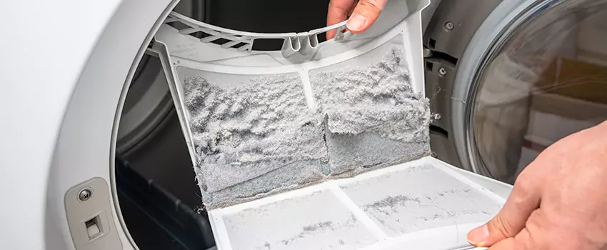 Best Dryer Lint Removal Company in Union Hill-Novelty Hill, Washington