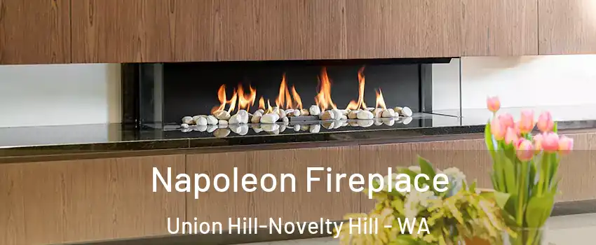  Napoleon Fireplace Union Hill-Novelty Hill - WA