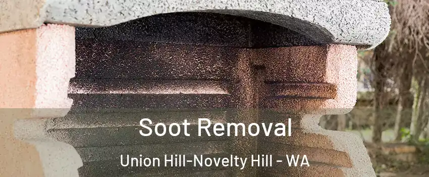 Soot Removal Union Hill-Novelty Hill - WA