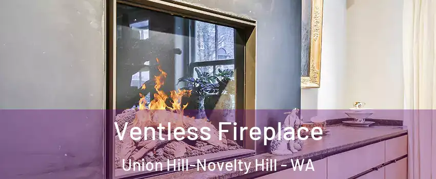 Ventless Fireplace Union Hill-Novelty Hill - WA